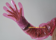 Cornstarch Made Biodegradable Compostable Disposable Food Hand Disposable Transparent Gloves, Long sleeves