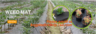 Landscape and agricultural 5oz pp ground cover fabric commercial weed barrier,Weed Barrier Around Fruit Trees PP Woven W