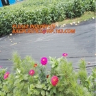 100% pp non woven perforated fabric weed control mat weed barrier anti weed mat,100% pp cover fabric weed control mat we
