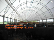 agriculture anti insect net on roll insect proof mesh for greenhouse,Greenhouse Anti Insect Netting /Agriculture Netting